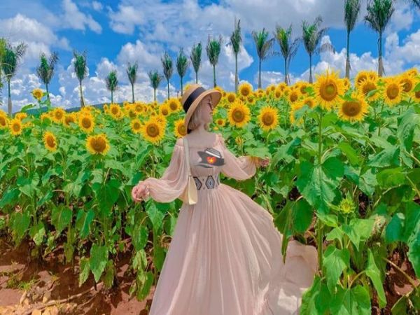 Da Lat Flower Festival 2024